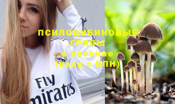 тгк Каменск-Шахтинский