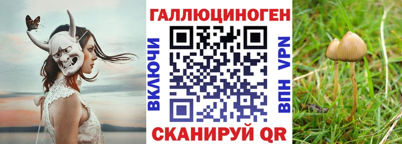 Галлюциногенные грибы мухоморы  Купить где  Ростов-на-Дону 